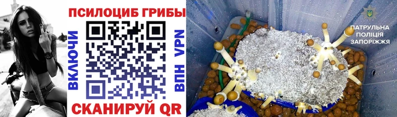 купить сайты Ишимбай Галлюциногенные грибы мухоморы